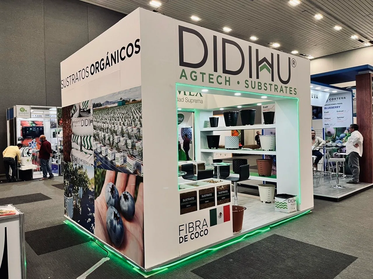 Blueberries Consulting México 2022 DIDIHU sustratos de fibra de coco.
