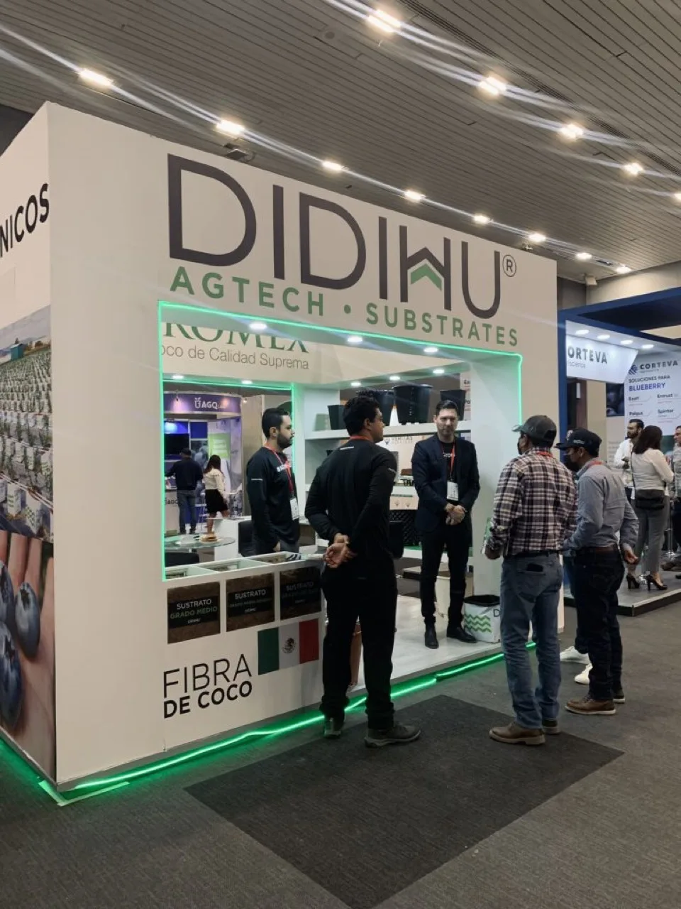 Blueberries Consulting México 2022 DIDIHU sustratos de fibra de coco.