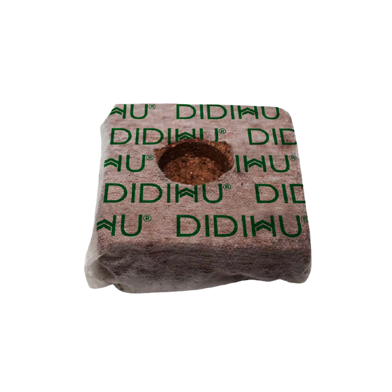 Starting Block – DIDIHU