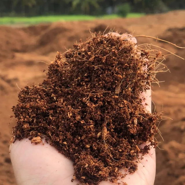 Proceso de producción de Organic Premium Naked Blocks de sustrato de fibra de coco en una de nuestras fábricas