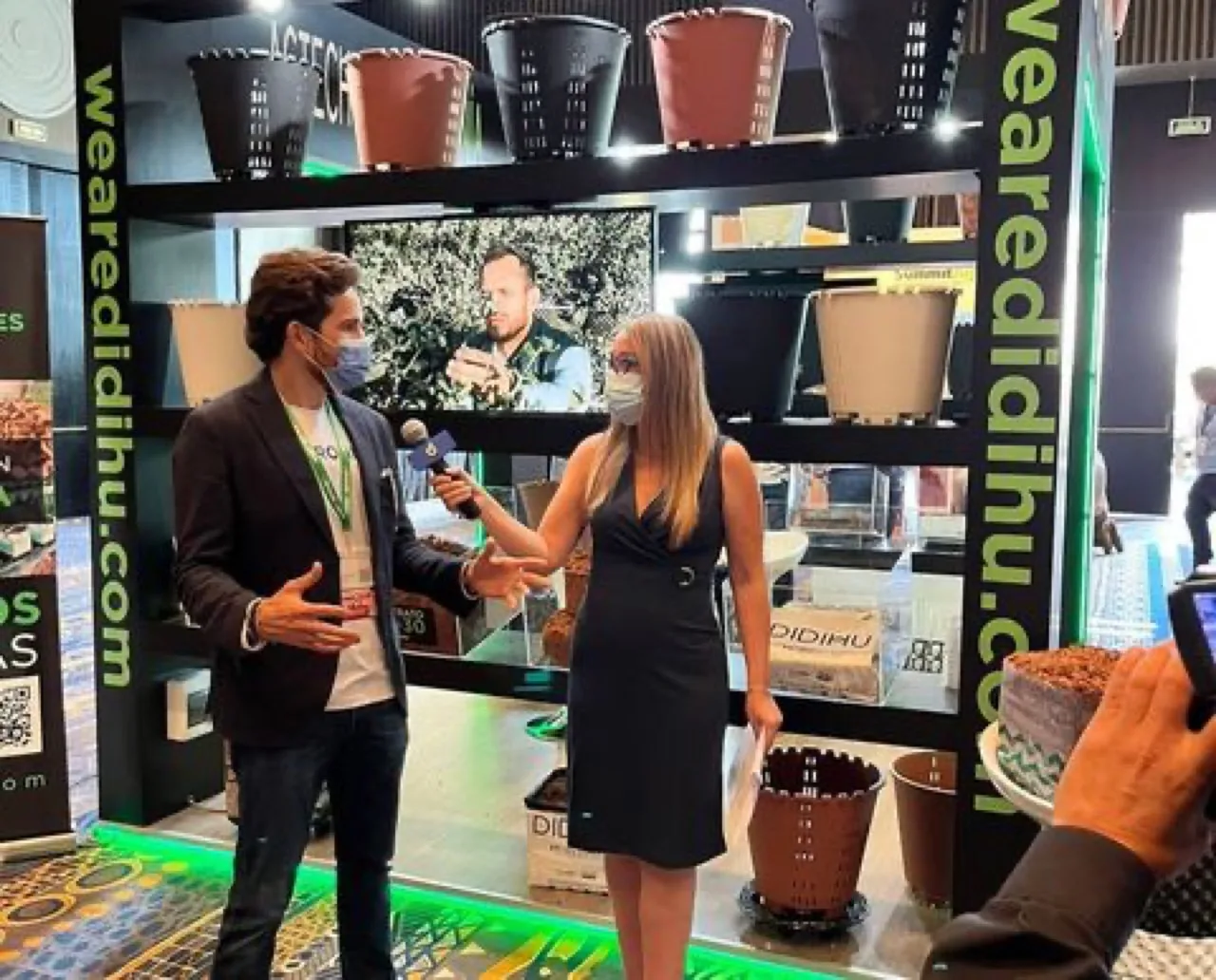 Blueberries Consulting Perú 2022 DIDIHU sustratos de fibra de coco