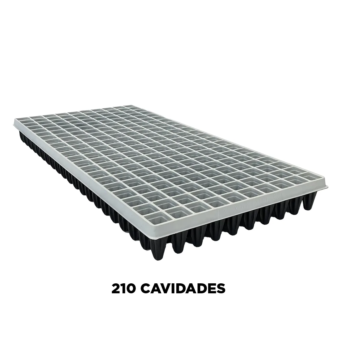 210