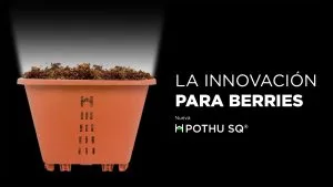 portada-pot-hu-sq