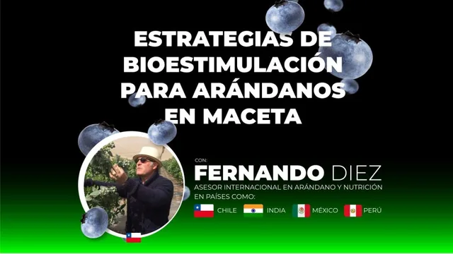 ESTIMU-FDO-DIEZ-1536×864