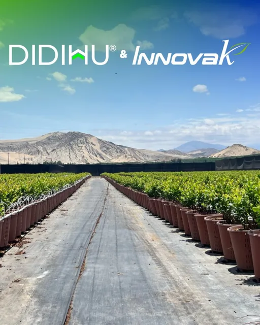 comunicacion-innovak-didihu