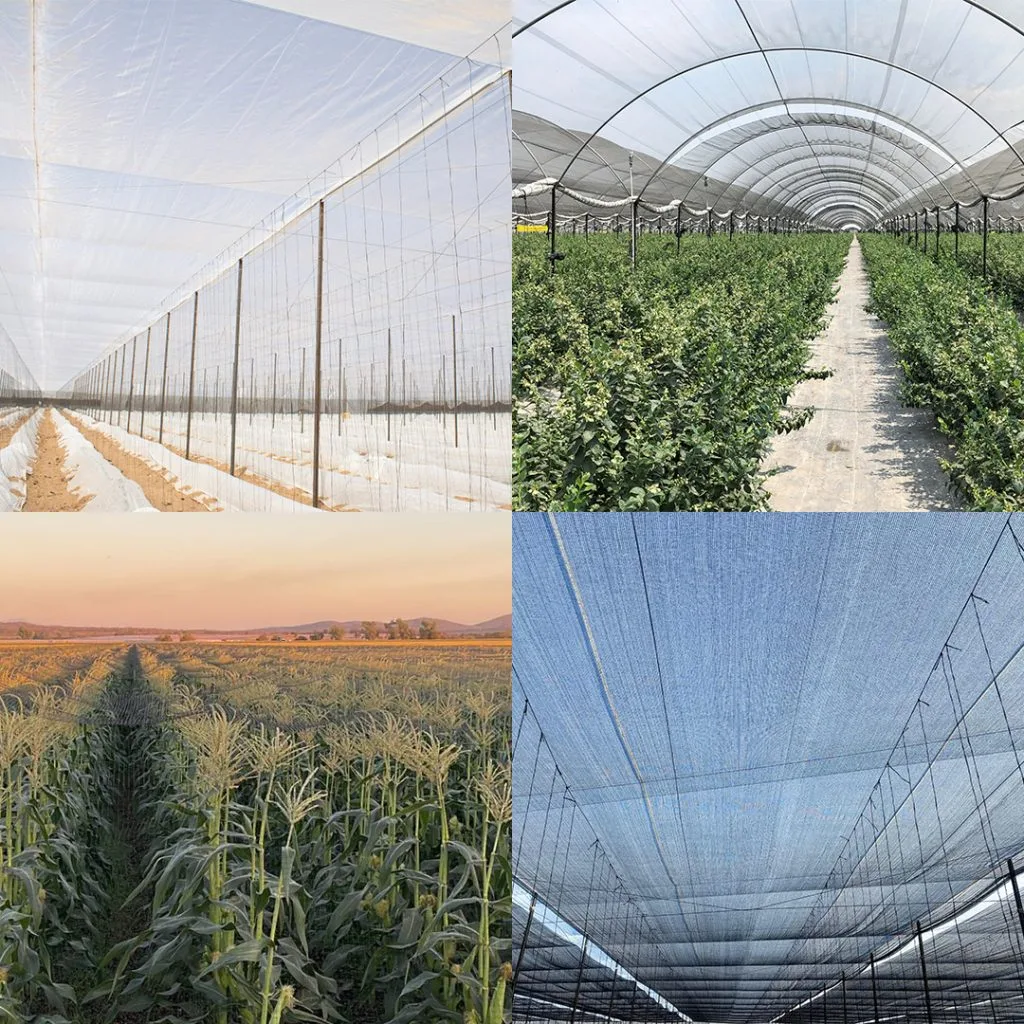 Agricultural Nets – DIDIHU