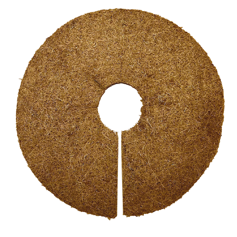 Coconut CoverHU – DIDIHU