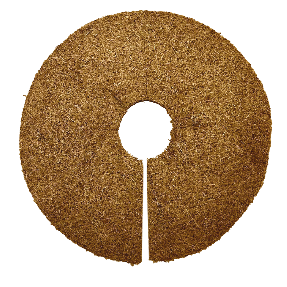 COCONUT-COVER-HU