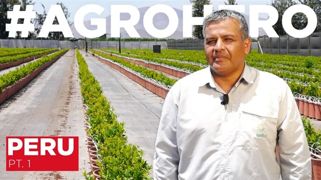 AH-PERÚ-PT1-HOR