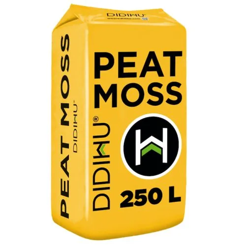 ALT-6